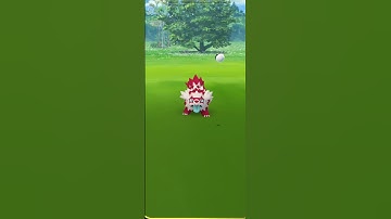 Shiny Galarian Zigzagoon ✨️