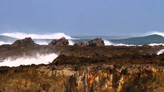 MonsterWaveHD_2088