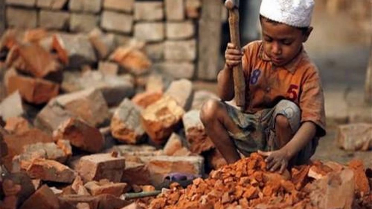 School is the best place to work ( stop Child Labour) 