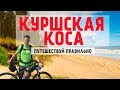 Куршская коса | Морской музей | Все от Клайпеды до Прейлы, еда, жилье, музеи, магазины |