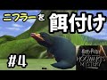 ニフラーってドッグフード食べるんだ【ハリーポッター ホグワーツの謎】#4