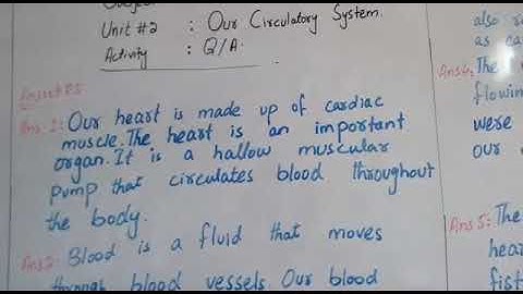 Grade 4 Science  Unit 2 Our Circulatory System Exercise /Q/A Afaq Sun Series