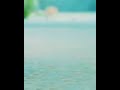 ЁЯТЮXIAO FENGMING X YUNSHAN ЁЯТЮ тЭдтАНЁЯй Sad Status ЁЯТФ Drama Name ЁЯжЛDance Of The Sky Empire ЁЯжЛ Second Lead Couple ЁЯТЮXIAO FENGMING X YUNSHAN ЁЯТЮ тЭдтАНЁЯй Sad Status ЁЯТФ Drama Name ЁЯжЛDance Of The Sky Empire ЁЯжЛ Second Lead Couple