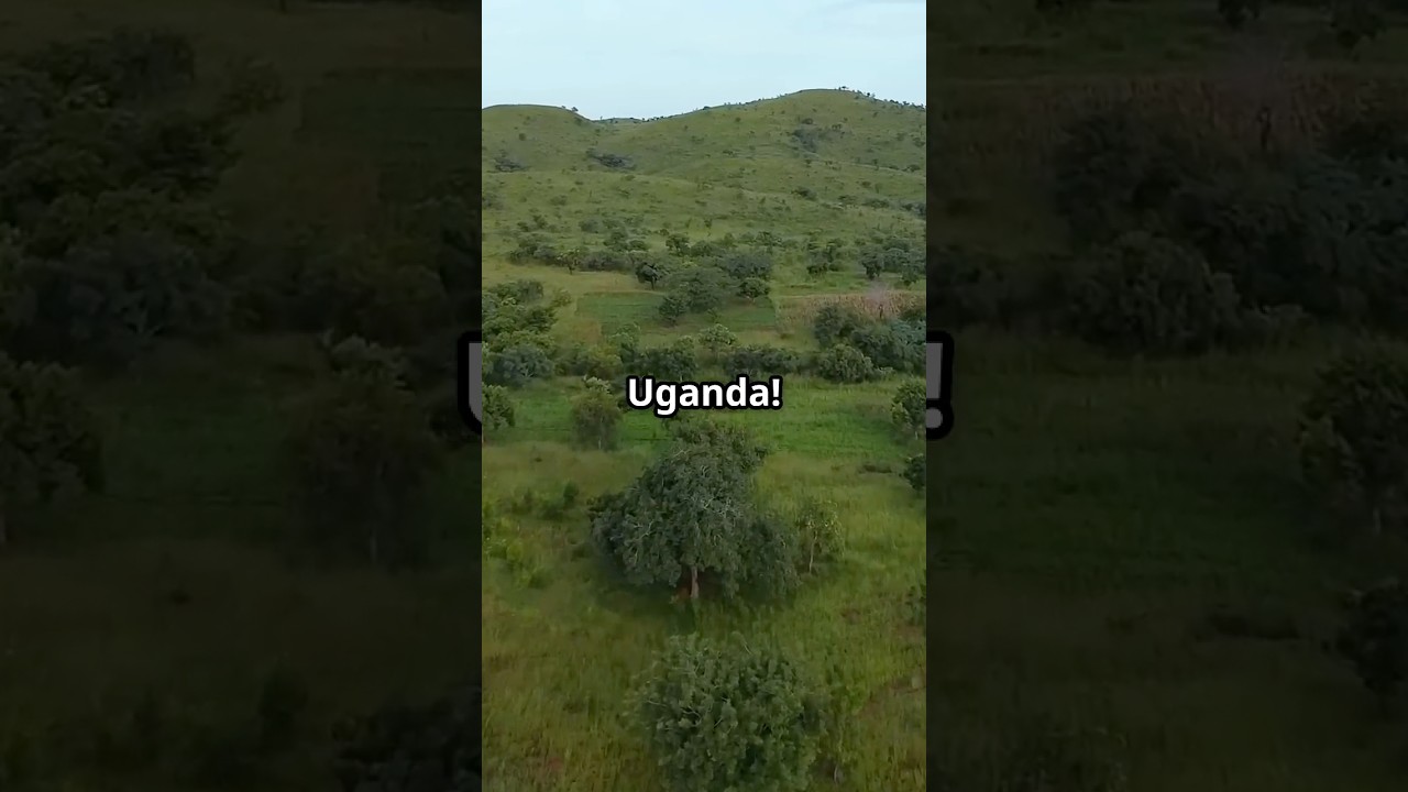 🌍 Uganda: The Pearl of Africa  