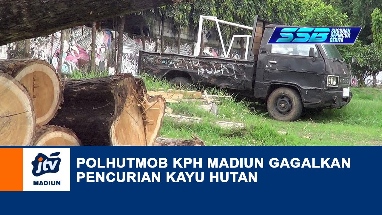 KAB MADIUN - Polhutmob KPH Madiun Gagalkan Pencurian Kayu Hutan