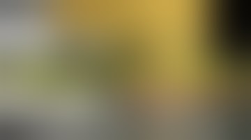 What the HELL is "Temp Control" ?