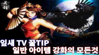 [영웅온라인][잎새TV] (진)템/일반 아이템 강화에 대한 모든 것