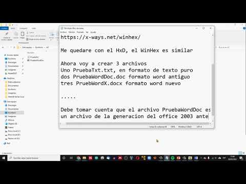 Video sobre el HxD Editor