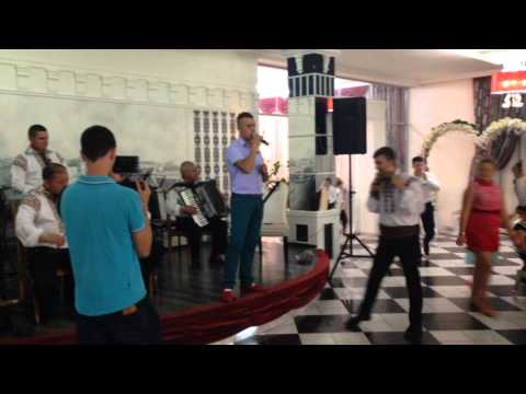 Ion Pogor - are pasarea doi pui