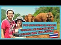 Parque Natural de Elefantes en Chiang Mai Tailandia- Una visita inolvidable (Elephant Nature Park)