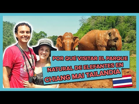 Vídeo: Por Qué Intrepid Travel Eliminó Los Paseos En Elefante De Giras Internacionales