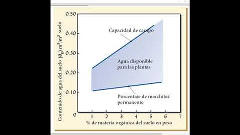 ¿Cuáles son los 4 factores que afectan a las raíces de las plantas?