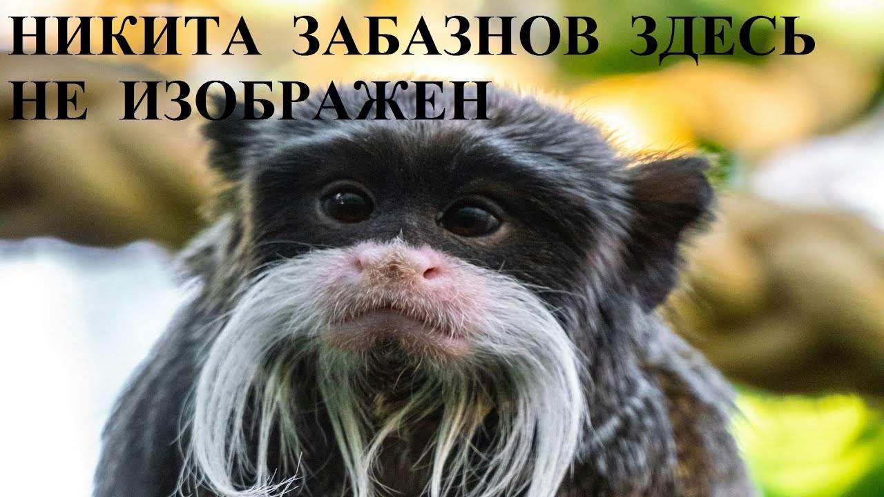 Как Никита Забазнов потерял себя и оказался на обочине