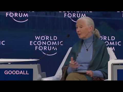 Jane Goodall Says