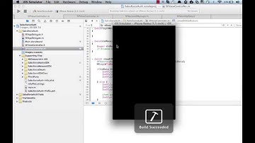 Part 2 - Getting Started With Salesforce iOS Native SDK