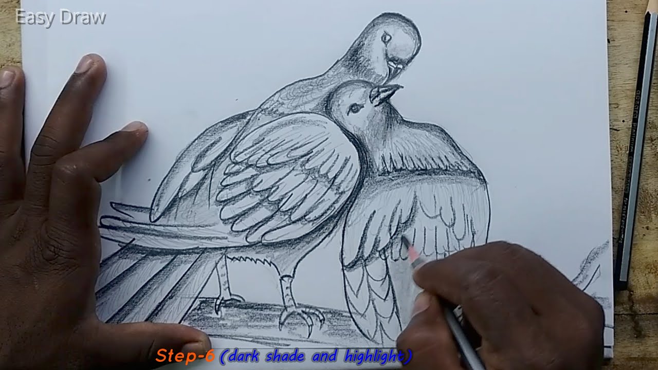 cute love birds drawings love birds drawing sketch love birds pictures love birds pencil drawing