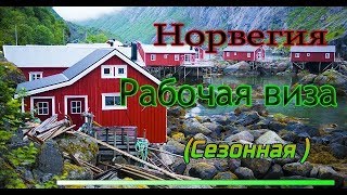 Рабочая виза 💳 в Норвегию (сезонная)