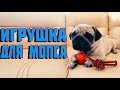 Мячик для мопса | игрушки для собак | sir mops