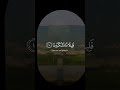 ولقد مكناكم في الأرض وجعلنا لكم فيها معايش قليلا ما تشكرون سورة الاعراف ناصر القطامي 