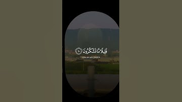 ﴿ولقد مكناكم في الأرض وجعلنا لكم فيها معايش قليلا ما تشكرون﴾ سورة الاعراف ناصر القطامي