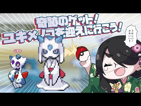 【ポケモン】奇跡のゲット！！ユキメノコを迎えに行こう！！！【プラチナ】#伊東ライフ