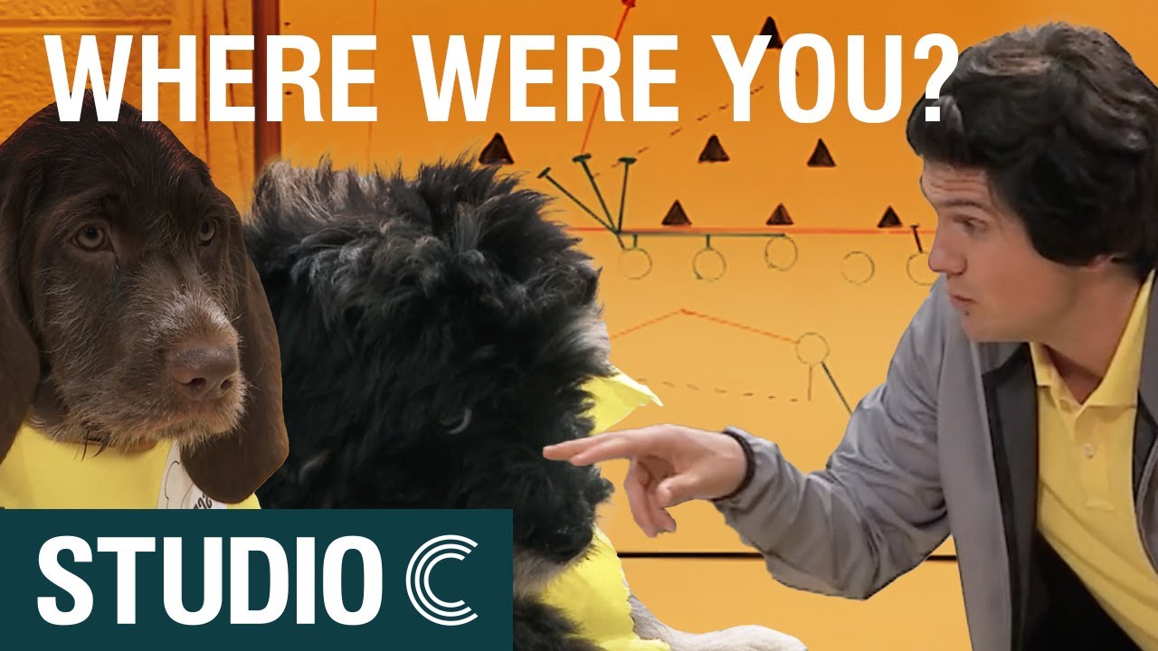 Puppy Bowl Coach Studio C YouTube