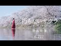 映画「朽ちないサクラ」特報