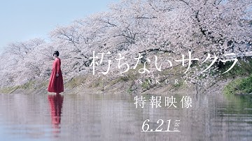 映画『朽ちないサクラ』特報映像＿2024年6月21日（金）公開