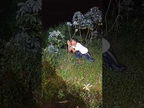 Coba perhatikan dengan
