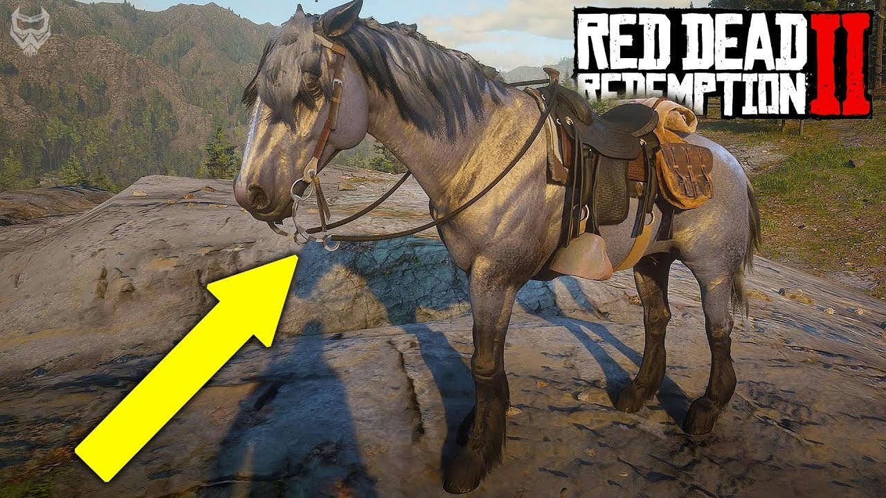 Red dead redemption 2 лучшие лошади карта