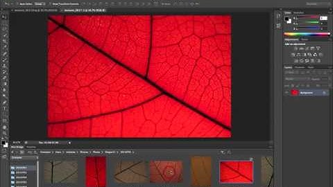 Photoshop CS6 | The New and Improved Mini Bridge