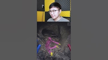 Kissy Missy Đã Ngủm ? - POPPY PLAYTIME CHAPTER 4 | Sheep #shorts