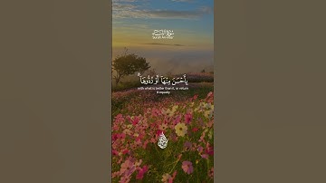 سورة النساء #اكسبلور #أحمد_الشافعي #آيات #راحة_نفسية #المصحف #لايك #رحم_الله_الشيخ_سعيد_الشافعي
