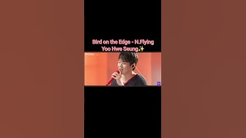 Thumbnail of Bird on the Edge - N.Flying Yoo Hwe Seung #nflying #yoohweseung #birdontheedge #leemujin #shorts