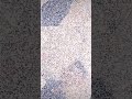 ЩѓШЁШ Щ ЩЉ Ш Щ Щ ЩѓШЄ ШЁШµЩ ШЄ Ш ЩЃЩ рџҐєрџ ЩѓШЁШ Щ ЩЉ Ш Щ Щ ЩѓШЄ ШЁШµЩ ШЄ Ш ЩЃЩ рџҐєрџ