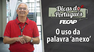 Como usar a palavra Anexo corretamente?