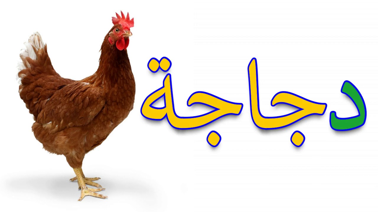 تعليم حرف الدال للاطفال بالصور والرسم والصلصال - YouTube