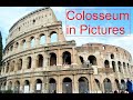 Colosseum in pictures. Museum, Sculptures, and artifacts of Colosseum | ছবিতে রোমের কলোসিয়াম |