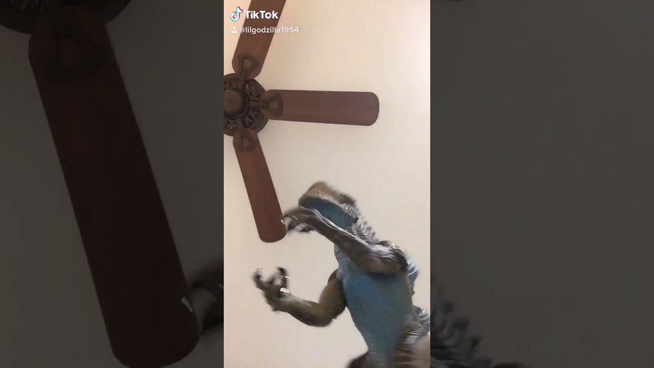 Memeeeeeeeeee yeeeeee