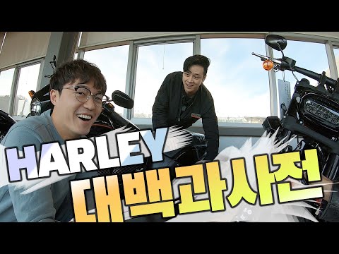 오잉? 할리와 소개팅 했다? 한편으로 끝내는 할리 장르 대백과사전