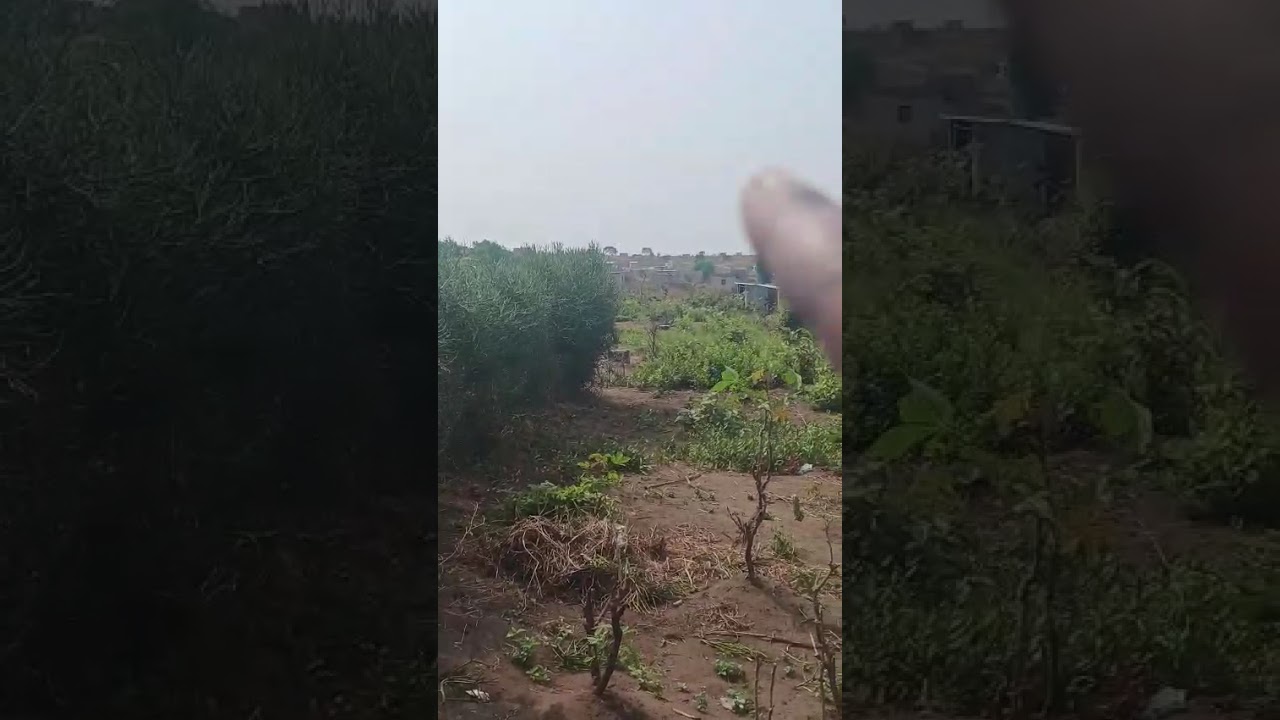 Bjr, na yeli bino 40/20 na kinkole quartier dic prix 19000€ a débattre WhatsApp 00336 44 83 96 08 