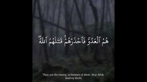 أويا تقدم لكم تلاوات خاشعة بصوت الشيخ محمد رعد الكردي