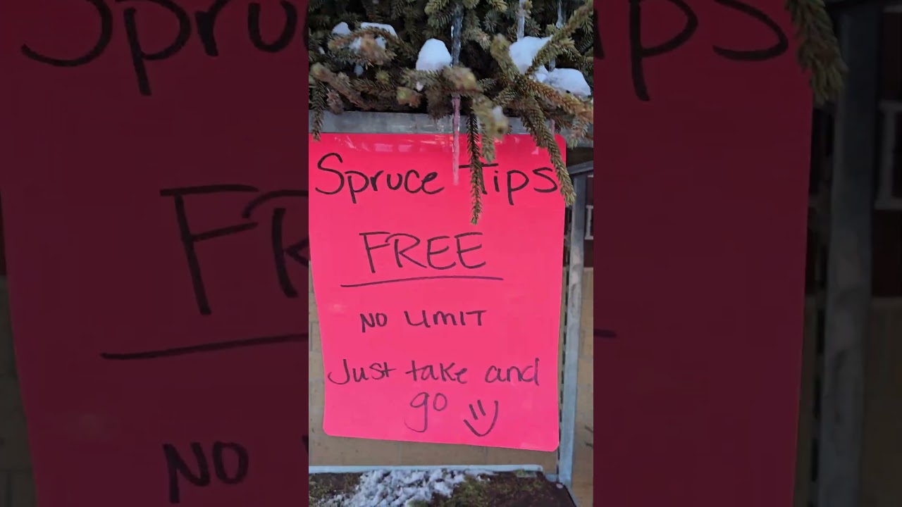 Ёлки бесплатно