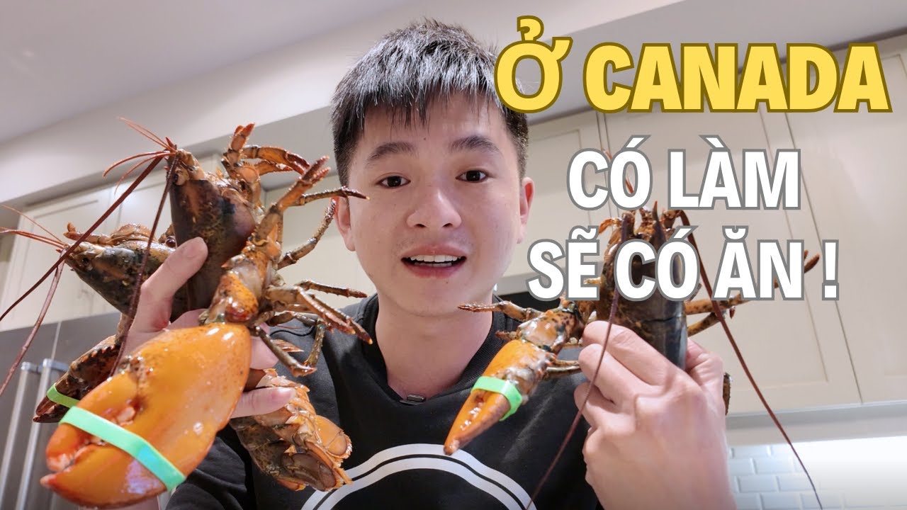 Lượm bạc cắc ở Canada và giấc mơ thành triệu phú đô la .