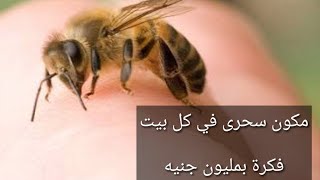 (اول مرة على اليوتيوب) ازاى تعالجى قرصة / لدغة النحل او الدبور فى الحال بدون تورم او إلتهاب