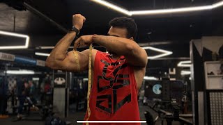 The Bulk Day 109 - Arms | 17 inches Milestone