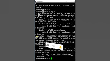 Command 🗣 That Will Display Only IP Address 🤔🤔 | RHEL/CentOS #trending #shorts #linux