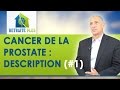 Cancer de la prostate : Description