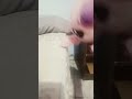 que es mejor
