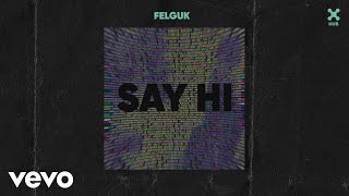 Felguk - Say Hi (Pseudo Video) Resimi